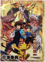 GC01-*SSR19 Taichi Yagami | Digimon
